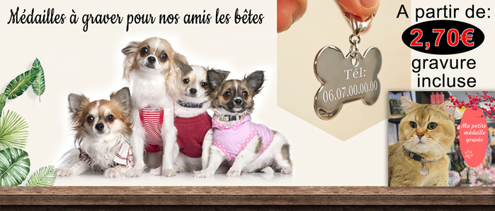 photo acceuil medaille chien